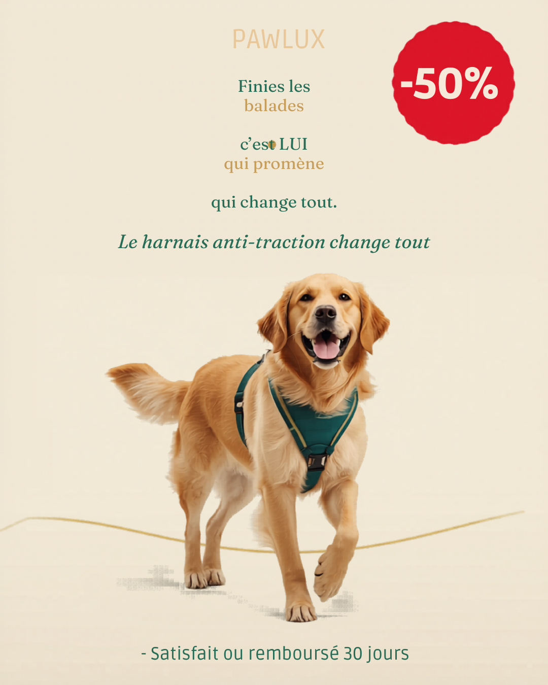 Harnais Anti-Traction PawLux pour chien - offre -50%