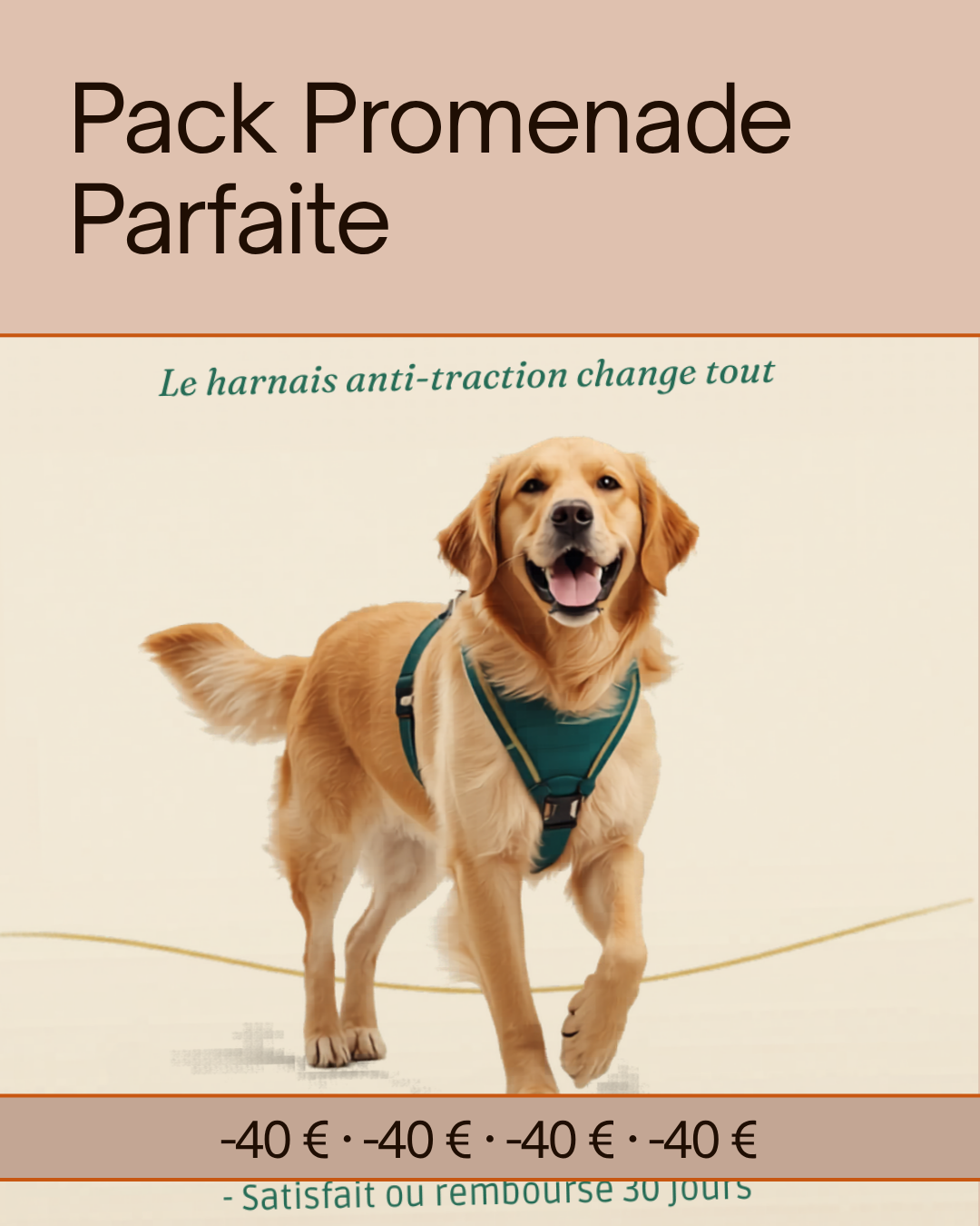 Pack Promenade Parfaite PawLux — harnais anti-traction, collier LED rechargeable et balle distributrice pour chien, offre -40€