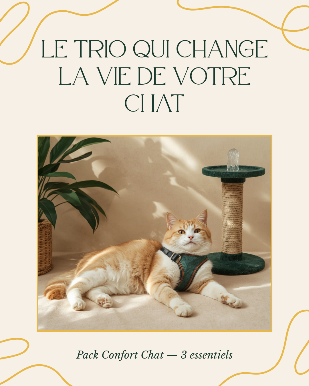 Pack Confort Chat PawLux - 3 essentiels -30%