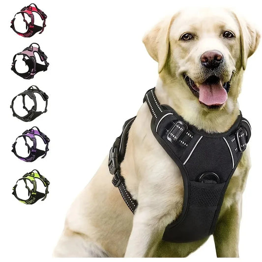 Pack Promenade Parfaite PawLux pour chien