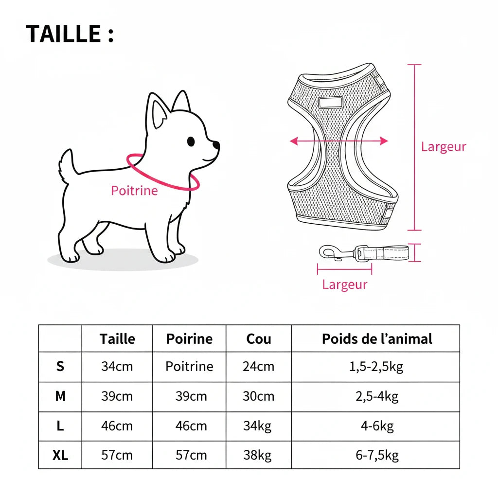 Harnais et laisse PawLux pour chat