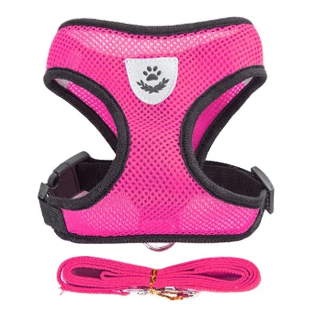 Harnais et laisse PawLux pour chat