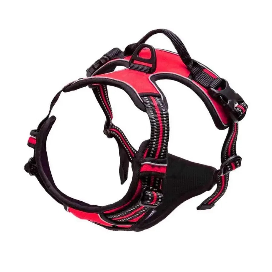 Harnais anti-traction PawLux pour chien