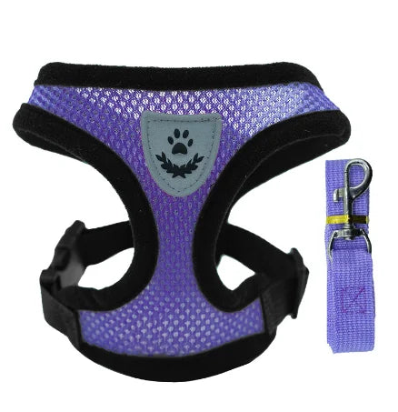 Harnais et laisse PawLux pour chat