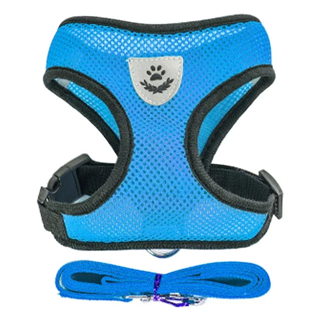 Harnais et laisse PawLux pour chat