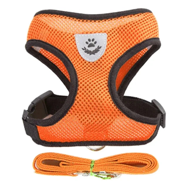 Harnais et laisse PawLux pour chat