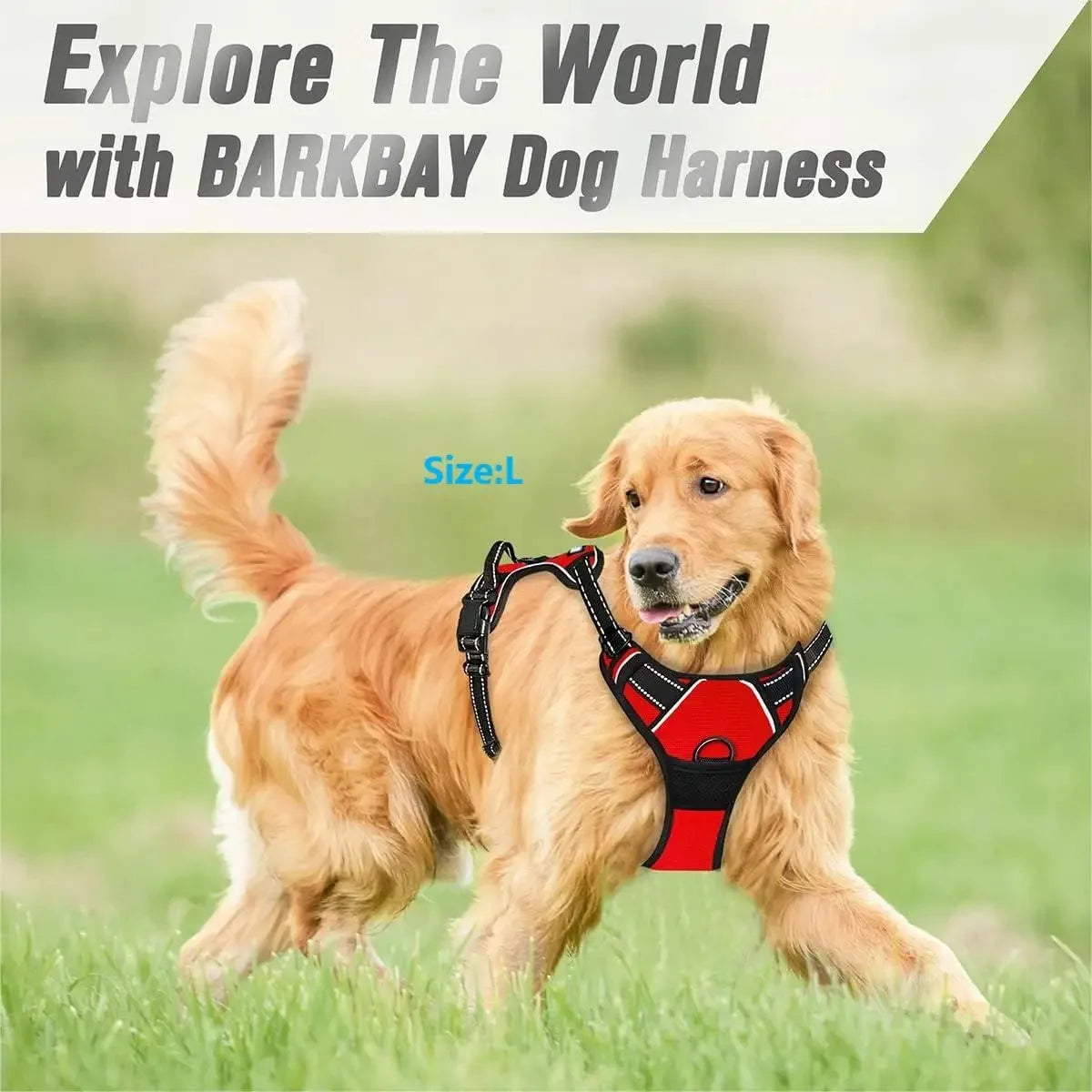 Harnais anti-traction PawLux pour chien
