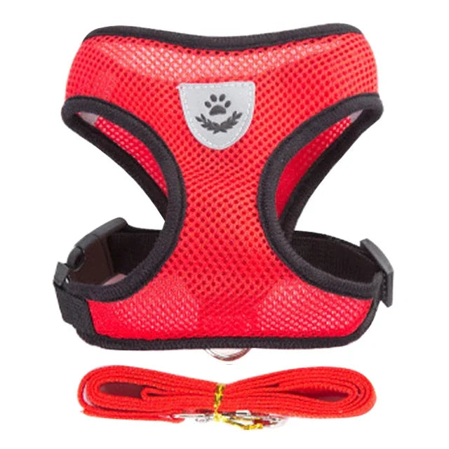 Harnais et laisse PawLux pour chat