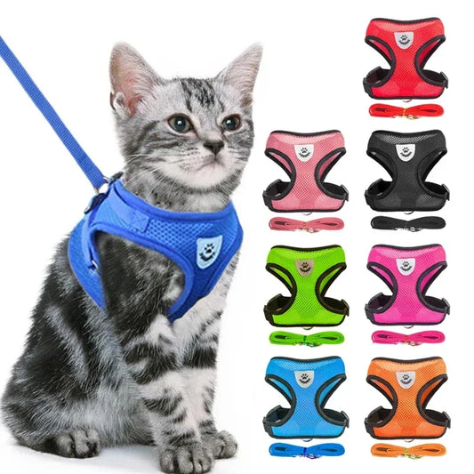 Harnais et laisse PawLux pour chat