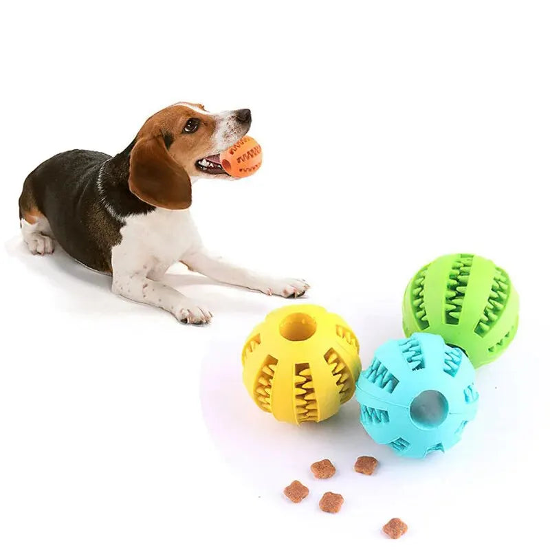 Balle distributrice de friandises PawLux pour chien