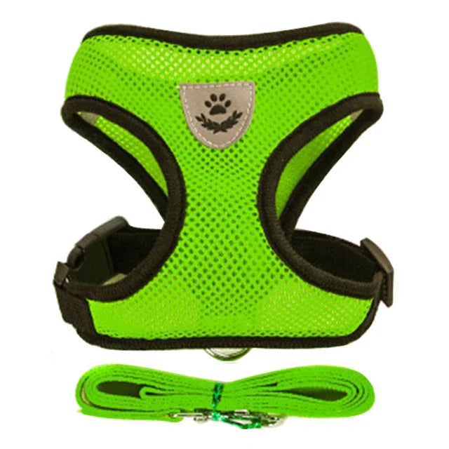 Harnais et laisse PawLux pour chat