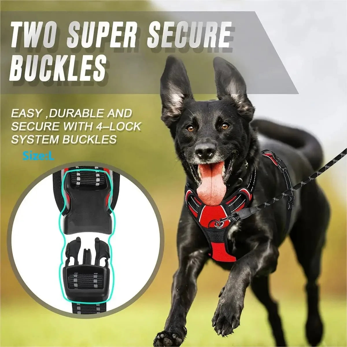 Harnais anti-traction PawLux pour chien