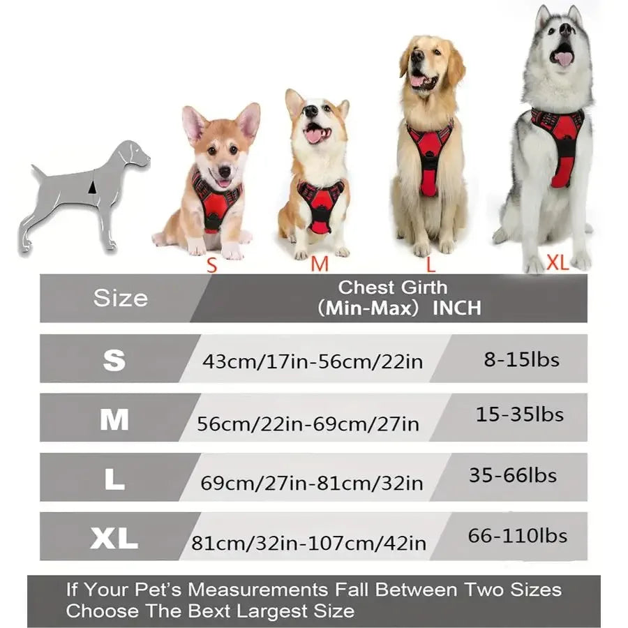 Harnais anti-traction PawLux pour chien