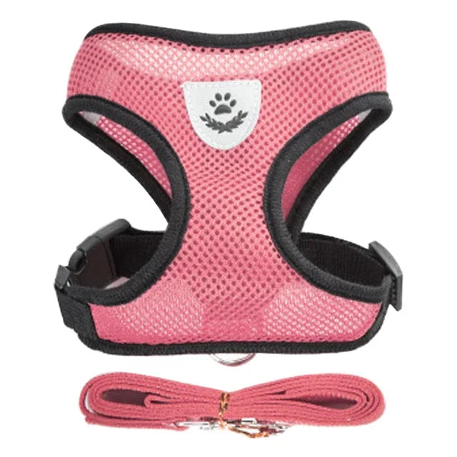 Harnais et laisse PawLux pour chat