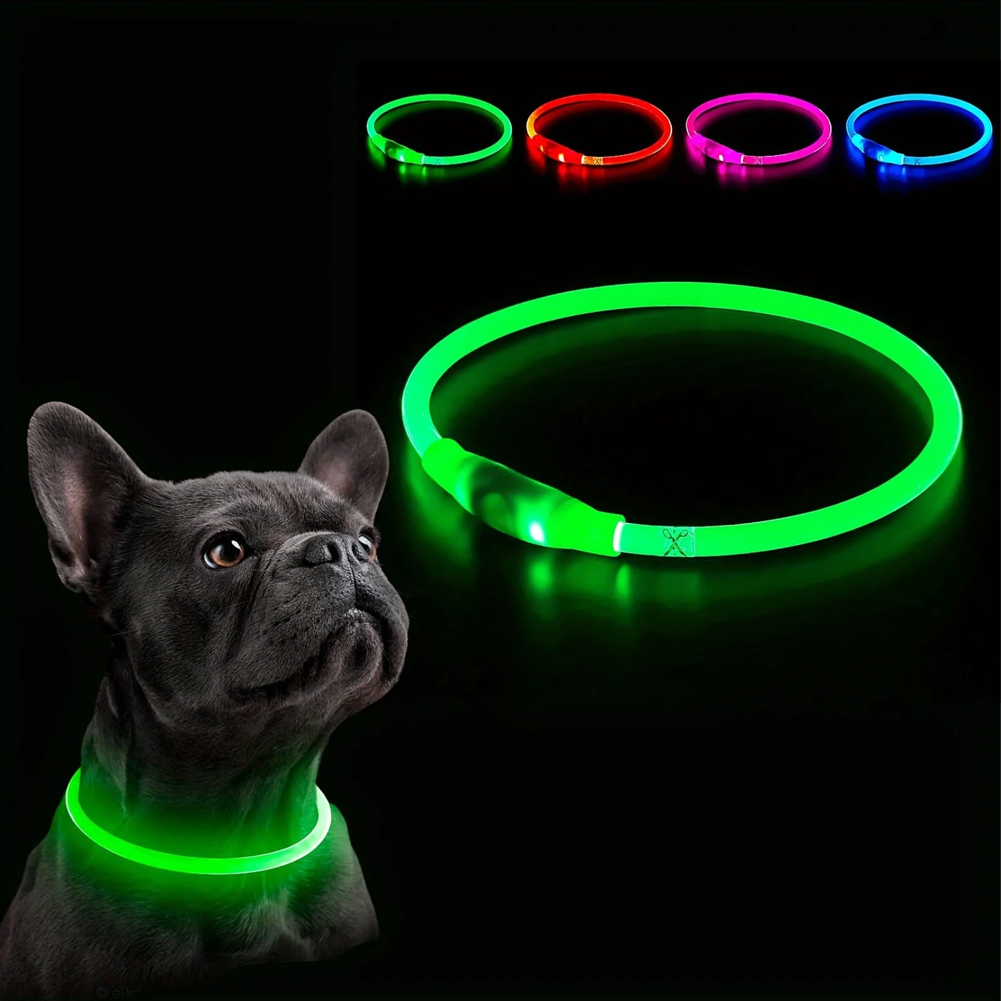Collier LED rechargeable PawLux pour chien et chat