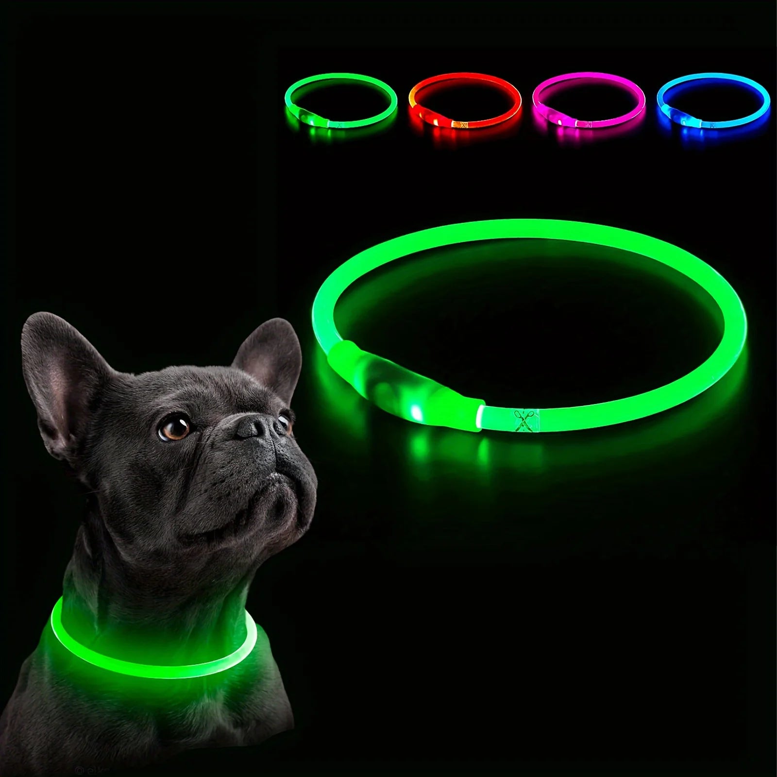 Collier LED rechargeable PawLux pour chien et chat