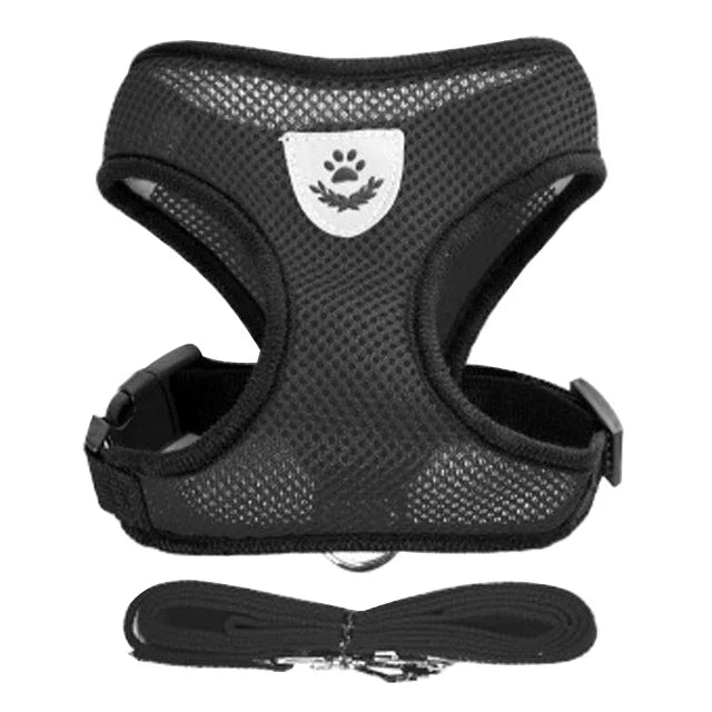 Harnais et laisse PawLux pour chat