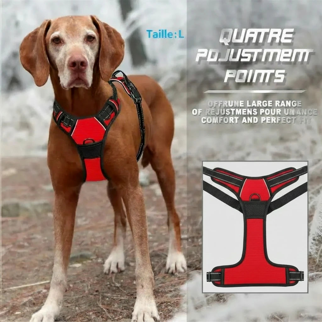 Harnais anti-traction PawLux pour chien
