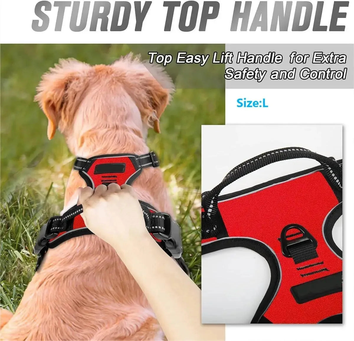 Harnais anti-traction PawLux pour chien